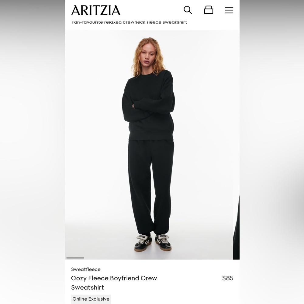 Aritzia TNA Boyfriend Sweatshirt